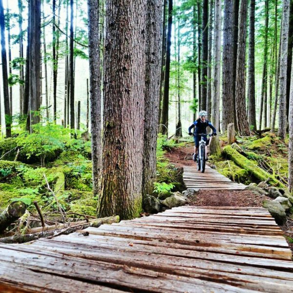 27187902413 3f7047a1b5 o