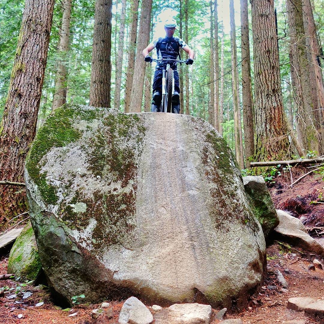 27760825282 13ee9aaeae o