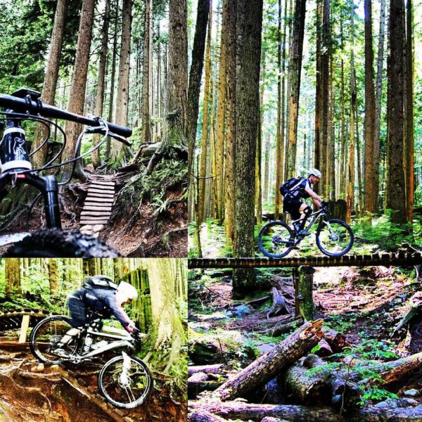 28059566625 f8d02298db o