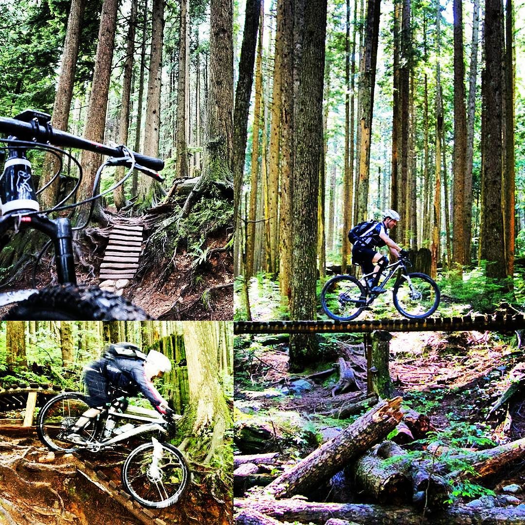 28059566625 f8d02298db o