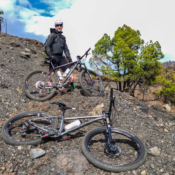 31341091534 203dc3cc8d o