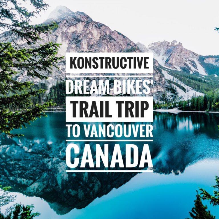 daylight forest glossy 443446 01 e1530507681670